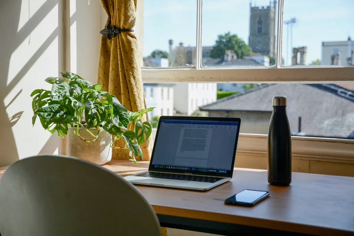 Ordinateur portable sur un bureau devant une fenêtre ensoleillée, plante verte